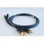 DH Labs Silver Pulse interconnect RCA 1, 50m